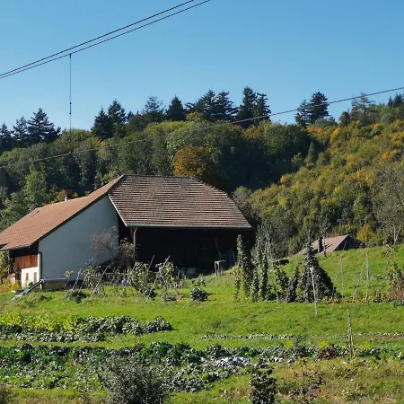 Jurastei 16 Bed and breakfast Wiedlisbach