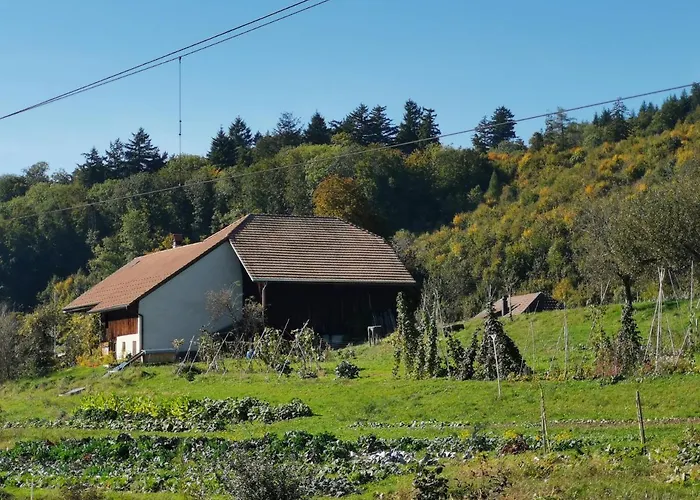 Jurastei 16 Bed & Breakfast Wiedlisbach