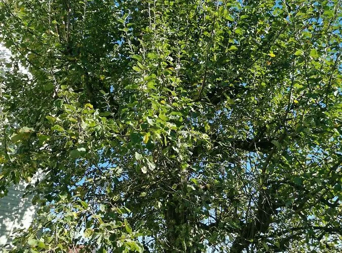 Jurastei 16 Bed & Breakfast