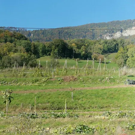 Jurastei 16 Bed & Breakfast 3*