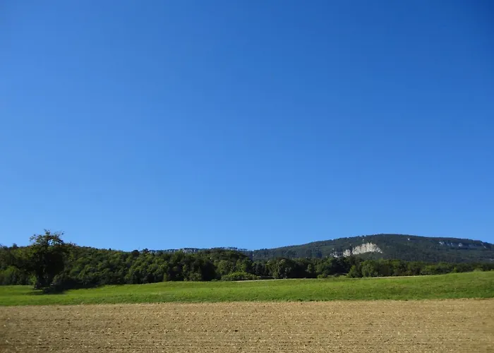 胡拉斯特尔16号酒店 住宿加早餐酒店 Wiedlisbach