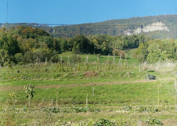 胡拉斯特尔16号酒店 住宿加早餐酒店 3*